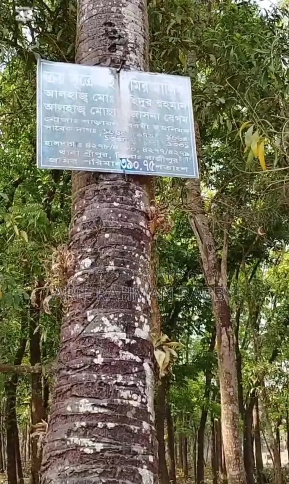 Urgent Sale: 350 Decimal Land Filled with Trees