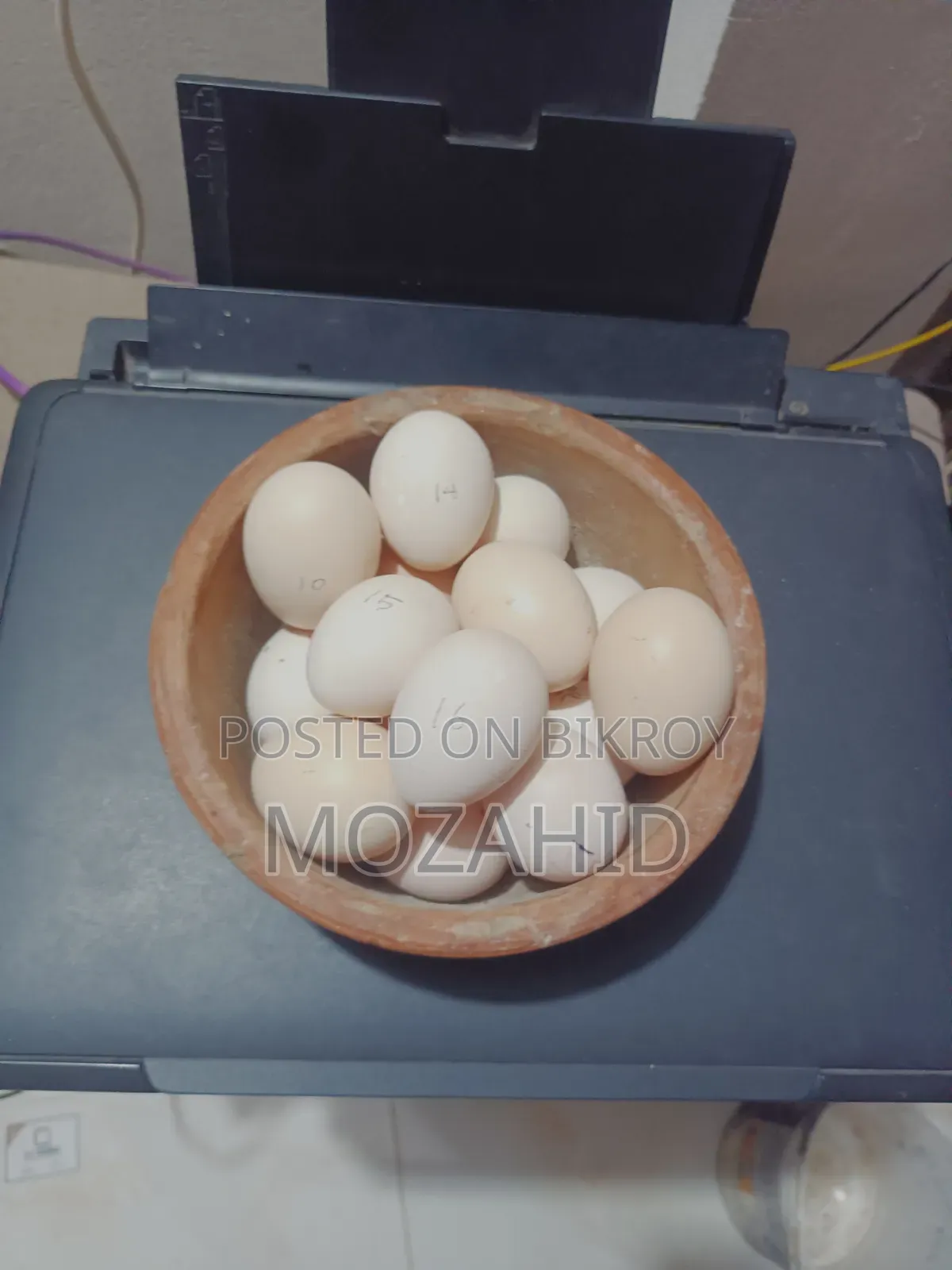 সরালী মুরগির বীজ ডিম
