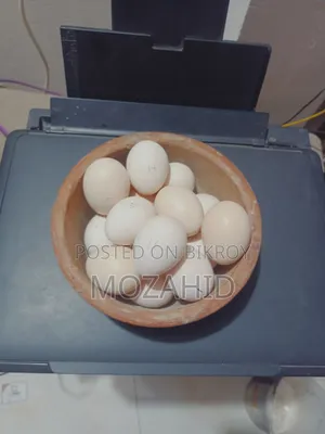 সরালী মুরগির বীজ ডিম