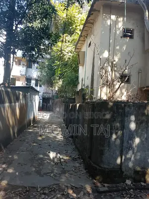 3 Bedroom House in Amber Khana for Sale