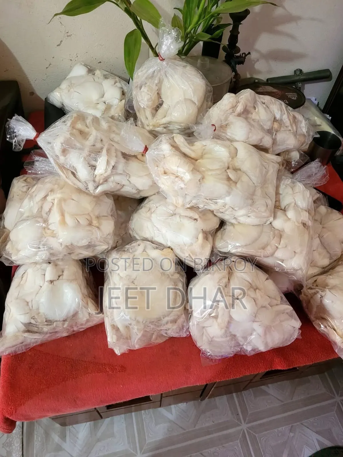 মাশরুম কিনতে চান