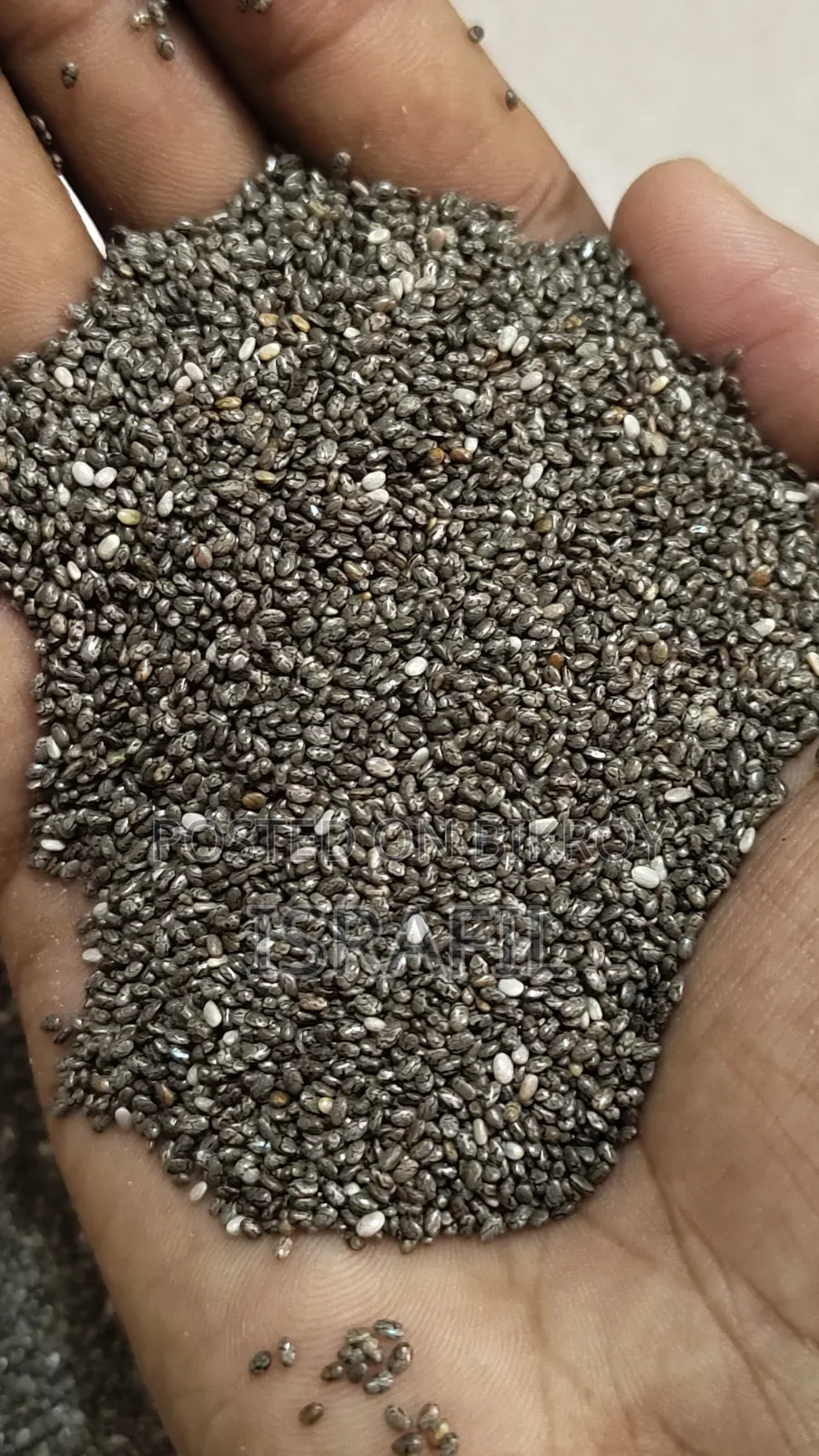 Fresh Chea Seed