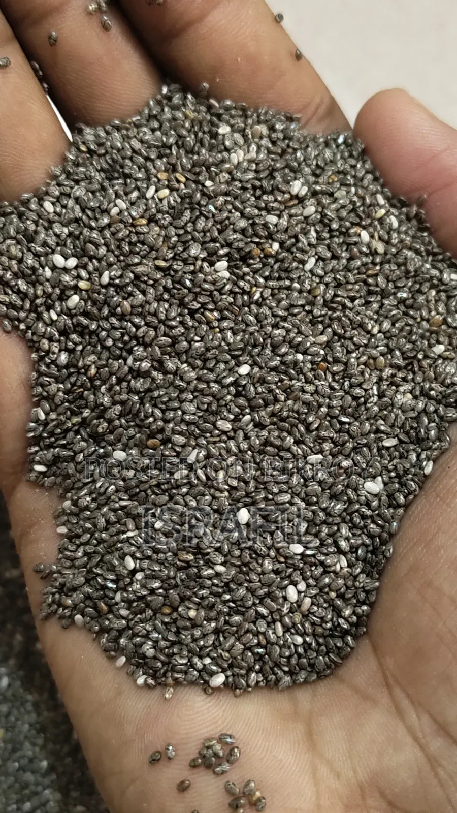 Fresh Chea Seed