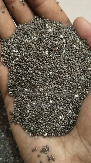 Fresh Chea Seed