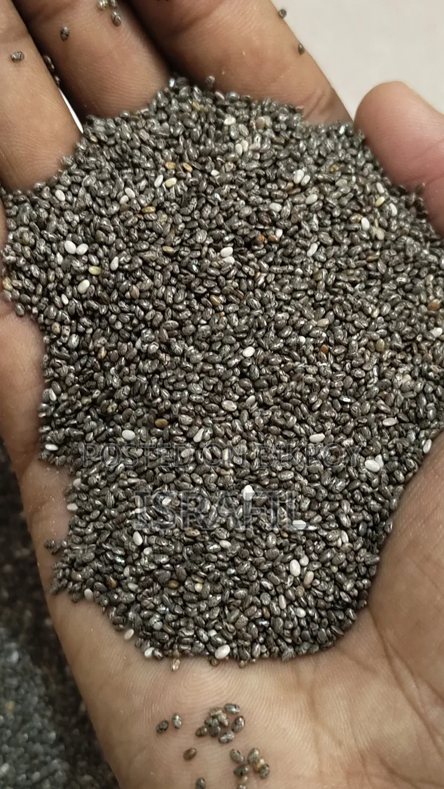 Fresh Chea Seed