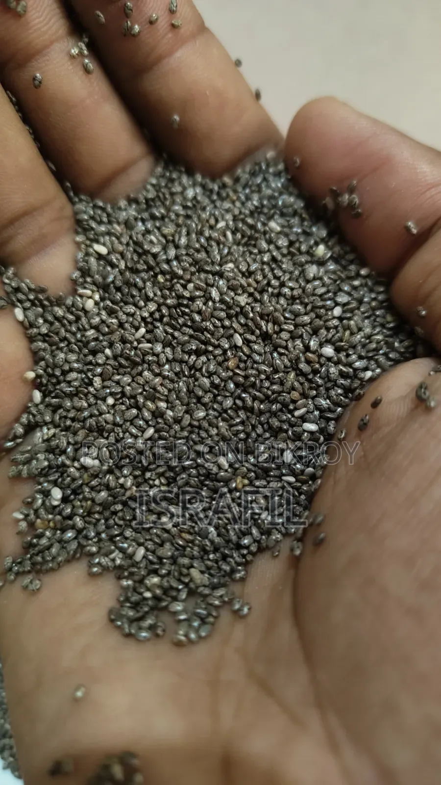 Fresh Chea Seed