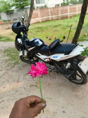 Bajaj Pulsar 150 2016 Purple