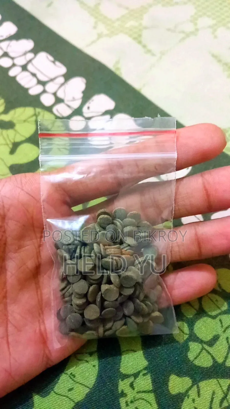 ডাম্বো ইয়ার হাফ মুন বেটা (শুধুমাত্র পুরুষ) পান্ডা কোরি (থাইল্যান্ড থেকে আমদানিকৃত)
