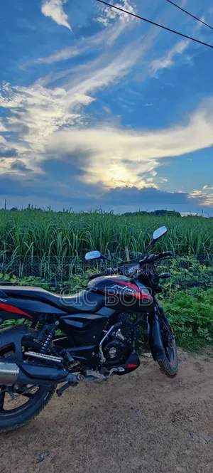 Bajaj Pulsar 150 2021 Black