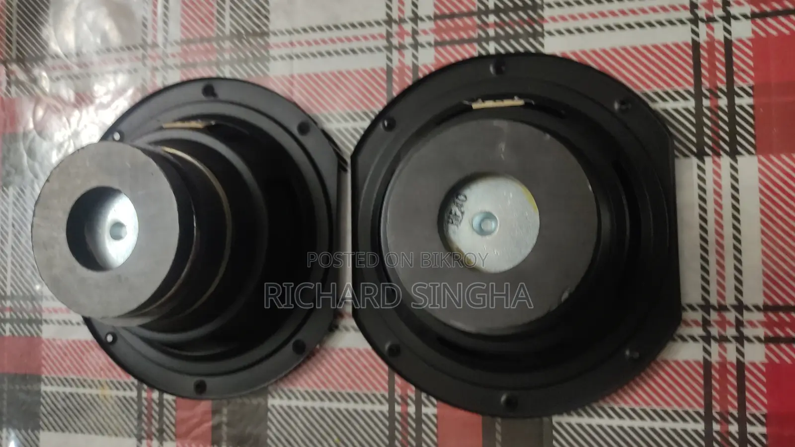 Woofer Speaker