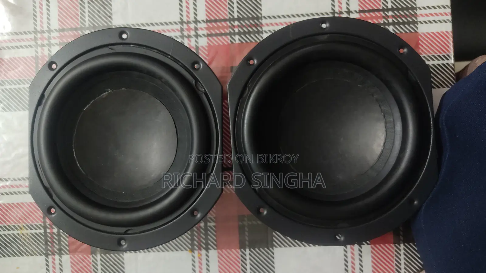 Woofer Speaker