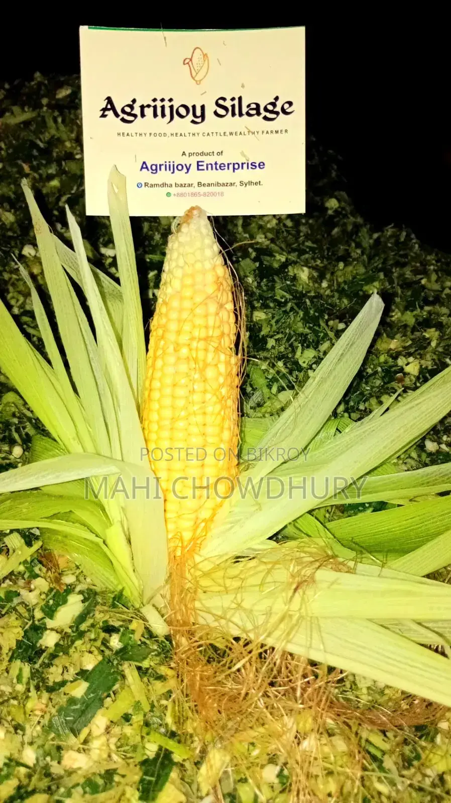 Corn Pit Silage (AgriJoy Silage)