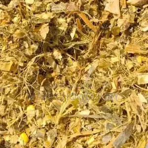 ভূট্রার পিট সাইলেজ (এগ্রিজয় সাইলেজ)