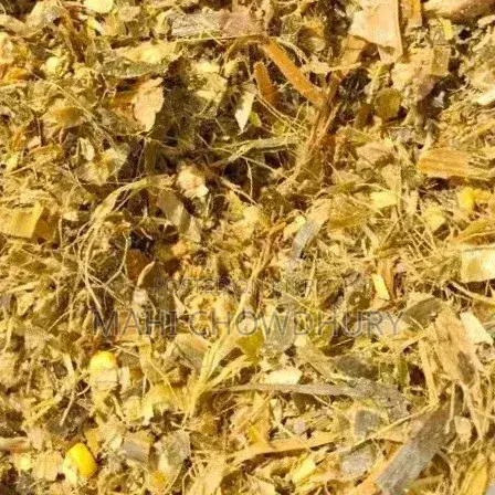 Corn Pit Silage (AgriJoy Silage)
