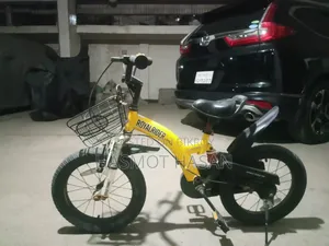 সাইকেল অনেক ভালো সাইকেল