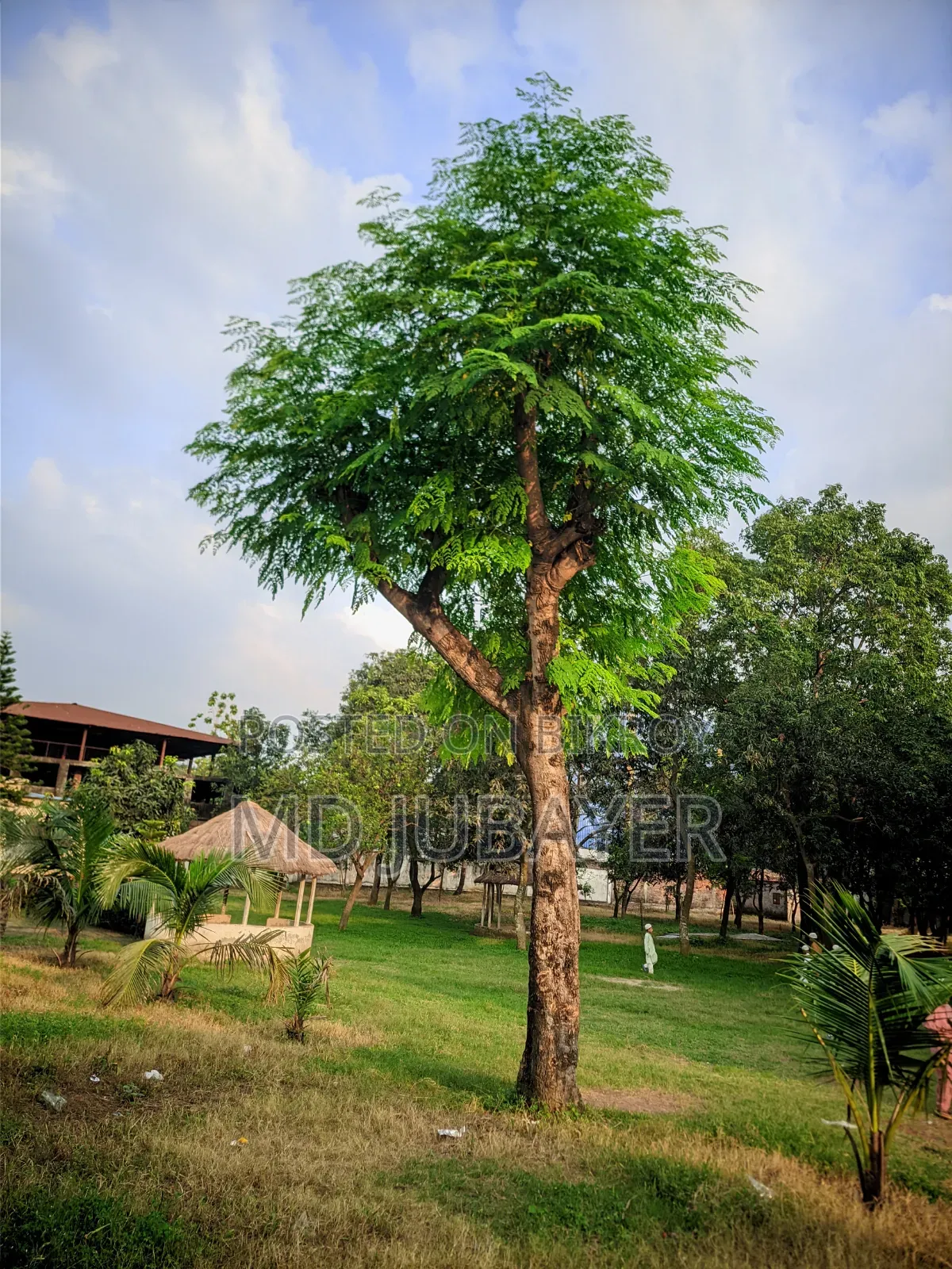 চমৎকার একটি মোবাইল