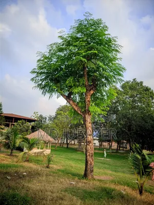 চমৎকার একটি মোবাইল