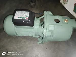 Bg Water Pump