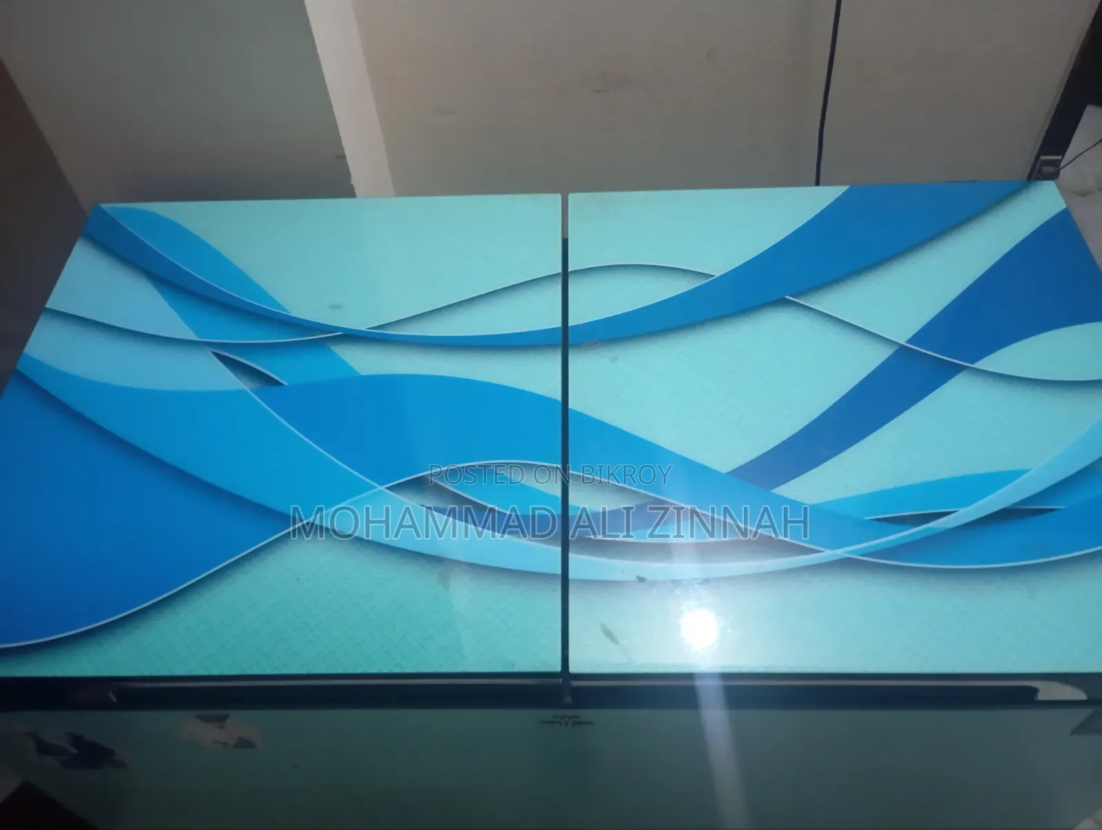 Walton 300 Liter Glass Door Freezer.