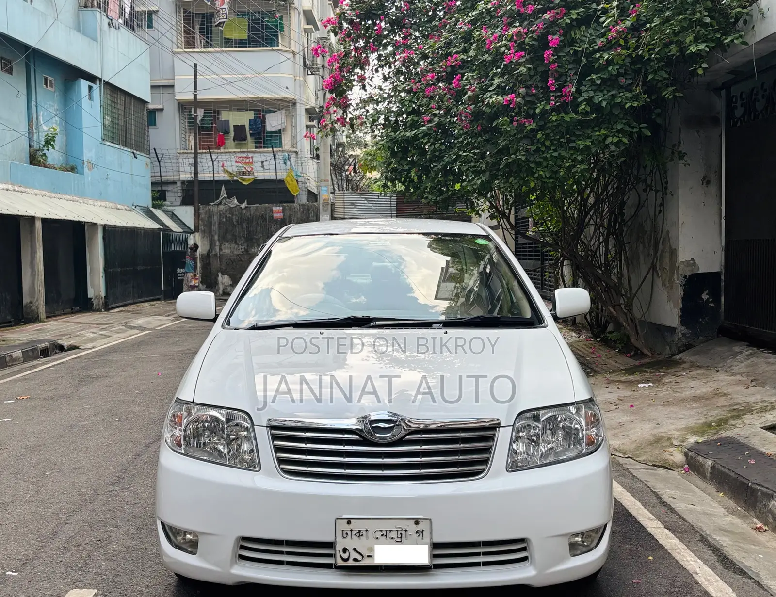 Toyota Corolla 2005 White