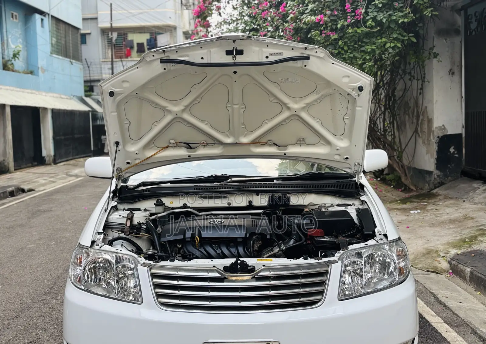 Toyota Corolla 2005 White