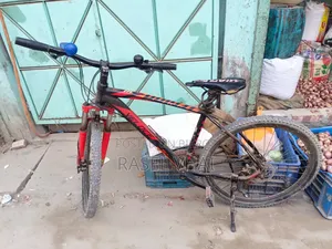 High Quality Cycle