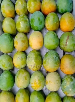 গার্ডেন ফ্রেস আম