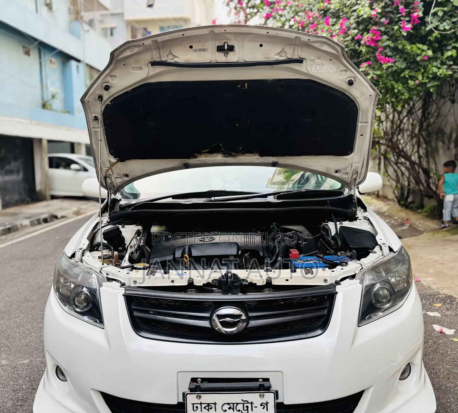 Toyota Axio 2011 Pearl