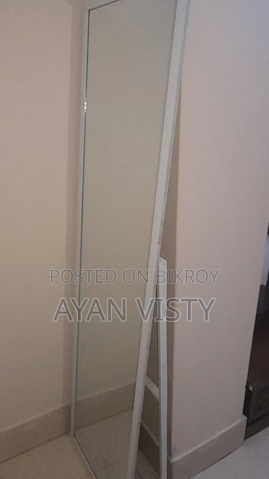 Long Mirror (White Frame)