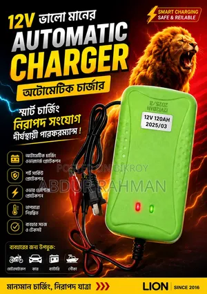 12-v 120ah Original China Charger