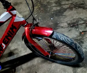 New Condition Fresh Cycle