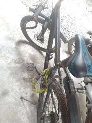 Cycle Pheonix