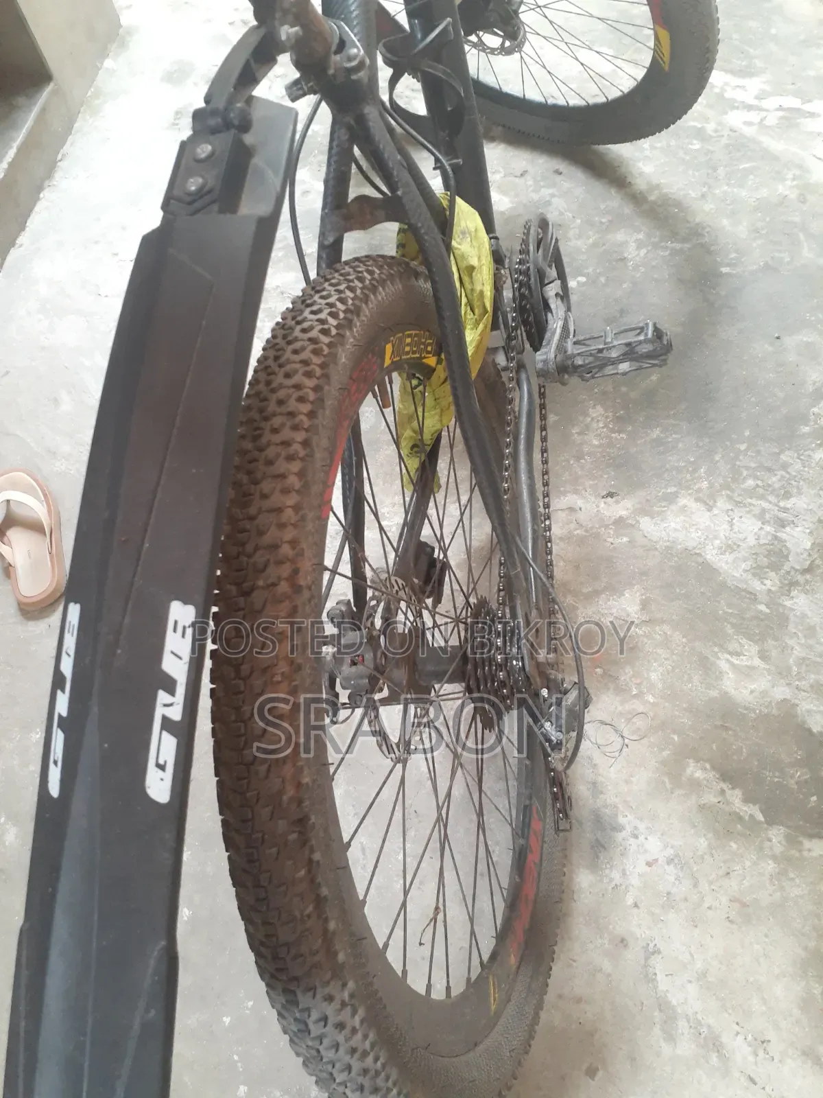 Cycle Pheonix
