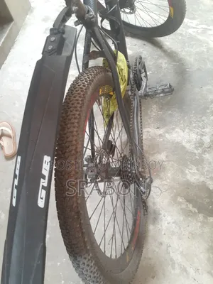 Cycle Pheonix