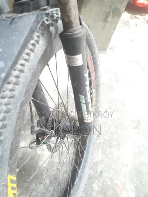 Cycle Pheonix