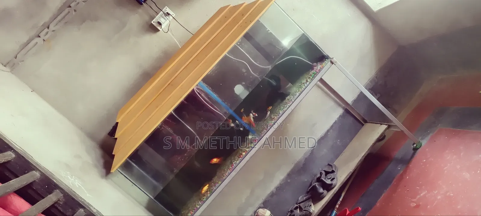 এ্যাকুরিয়াম + মাছ