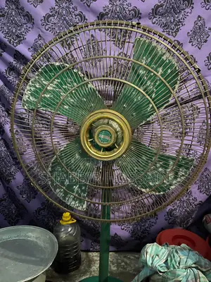 Pakistani Fan 24”
