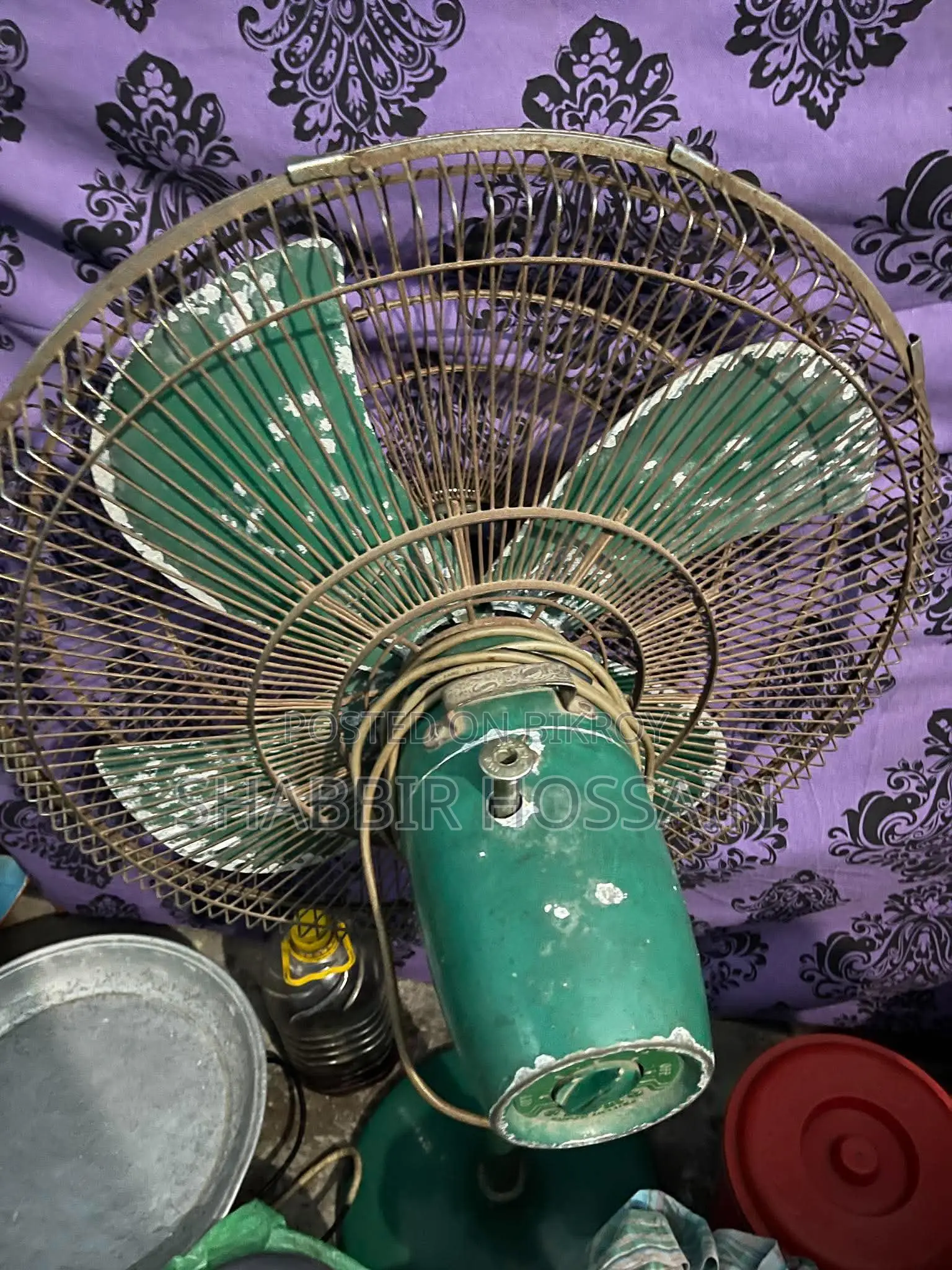 Pakistani Fan 24”