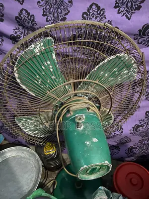 Pakistani Fan 24”