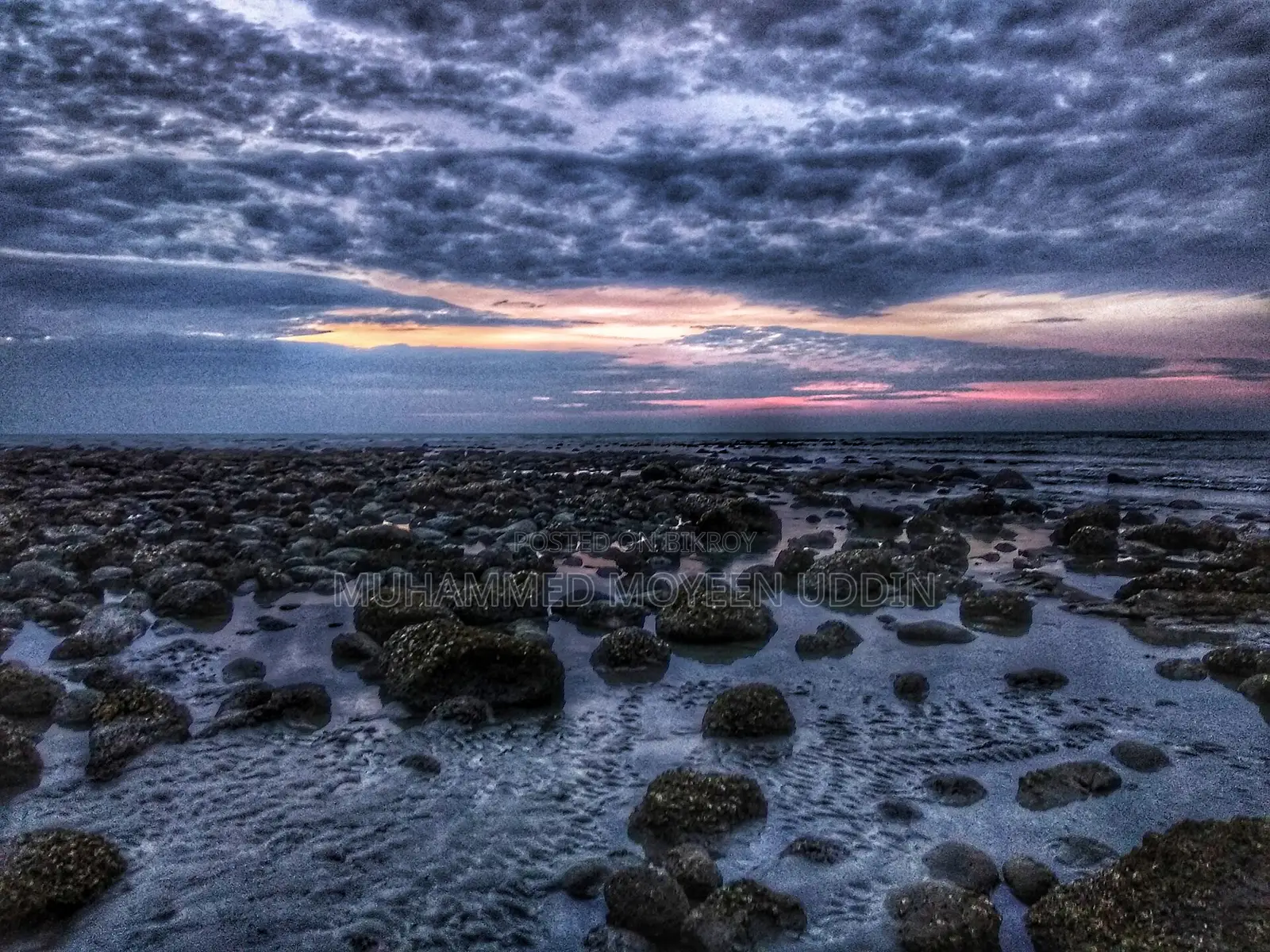 রিসোর্টের জন্য জমি