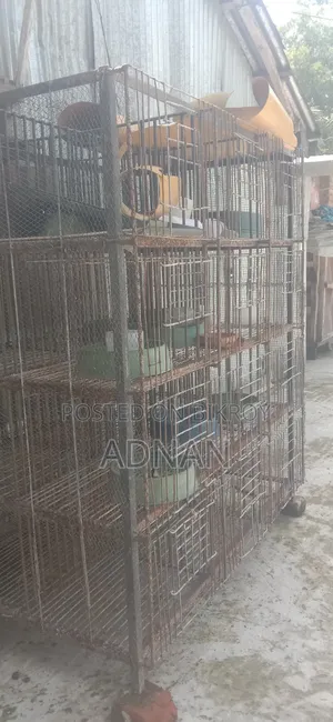 ২৪ ক্যারেটের একটি লোহার কাছে বিক্রি করা হবে