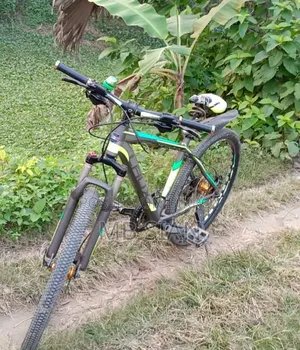 বাই সাইকেল