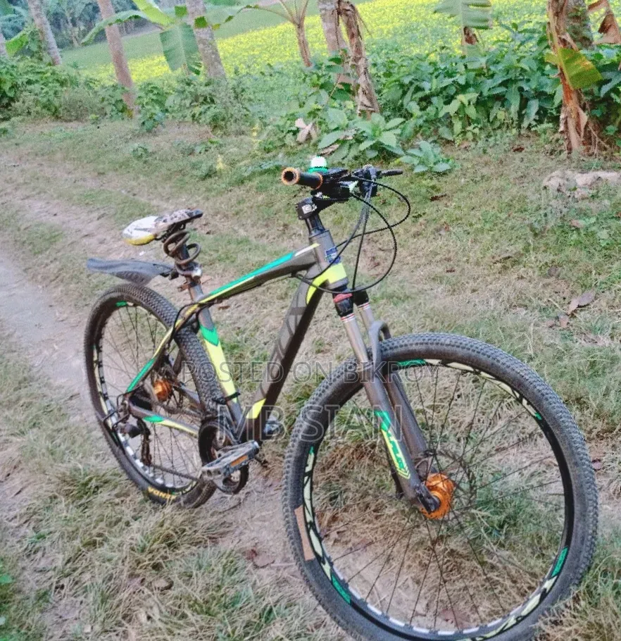 বাই সাইকেল