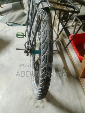 Phoenix Bicycle