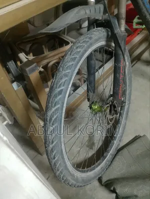 Phoenix Bicycle