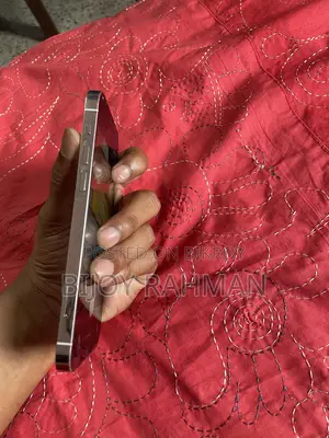 Apple iPhone 12 Pro 256 GB Silver