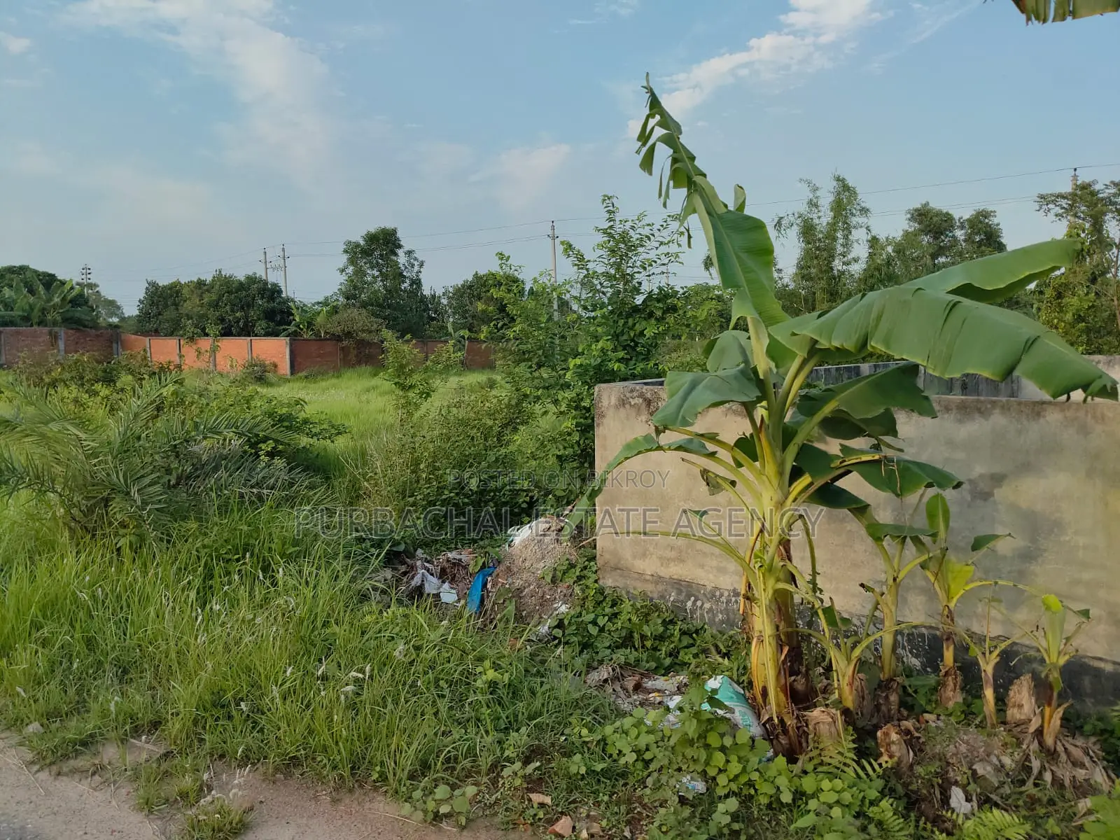 Near Scenic Lake, South Facing, 5 Katha Plot