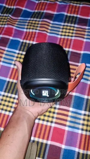 Portable Wireless Speaker