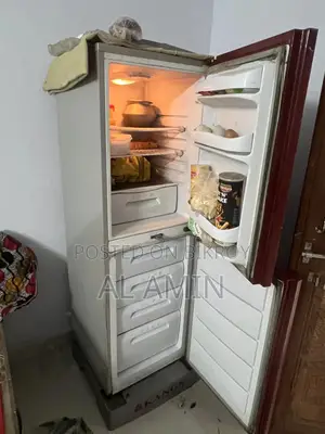 Sony Rangs Fridge