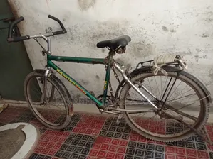 কয়লিটি ভালো অরজিনাল